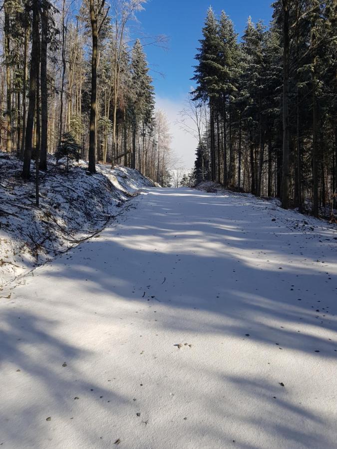 Gniewnik Villa Pcim Buitenkant foto