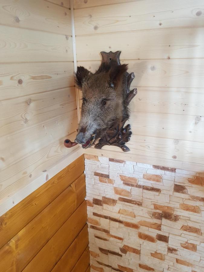 Gniewnik Villa Pcim Buitenkant foto